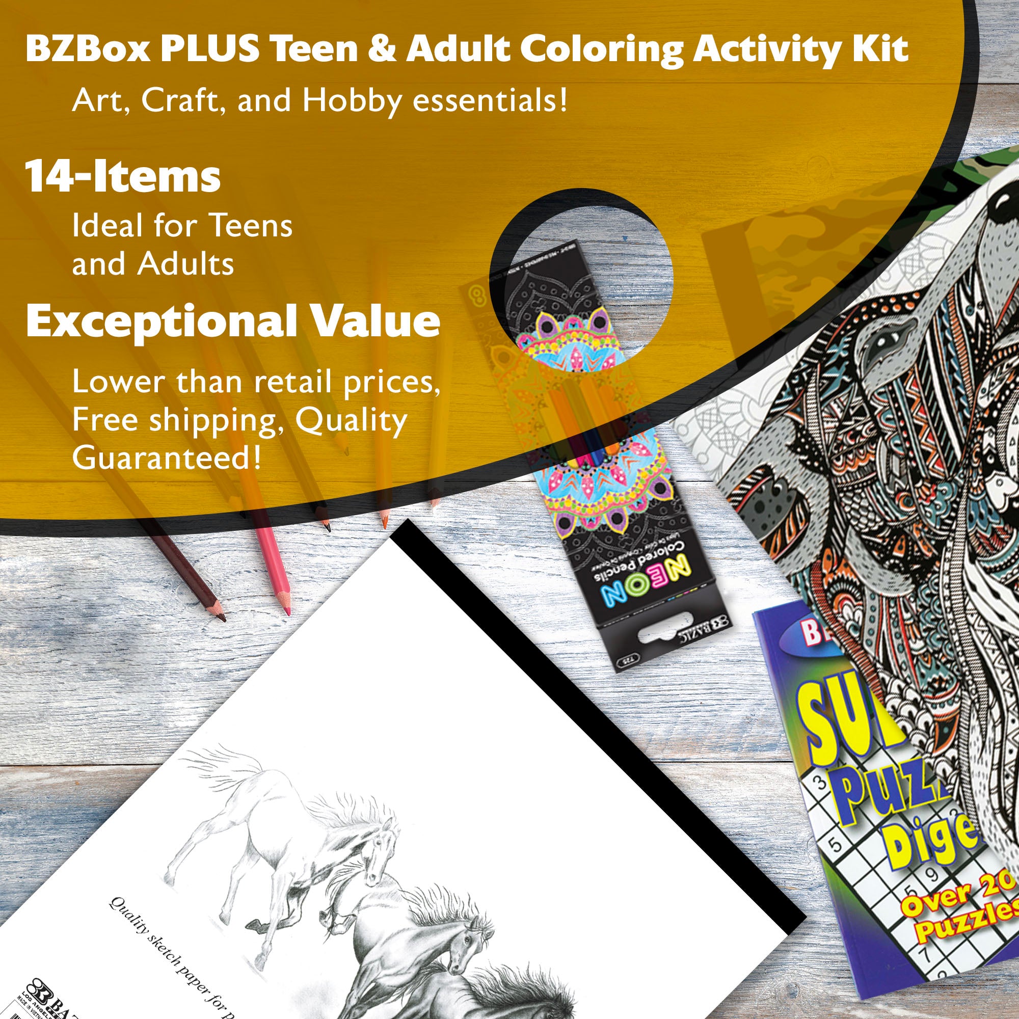 Teen & Adult coloring Activity Kit, Plus, 14 Units